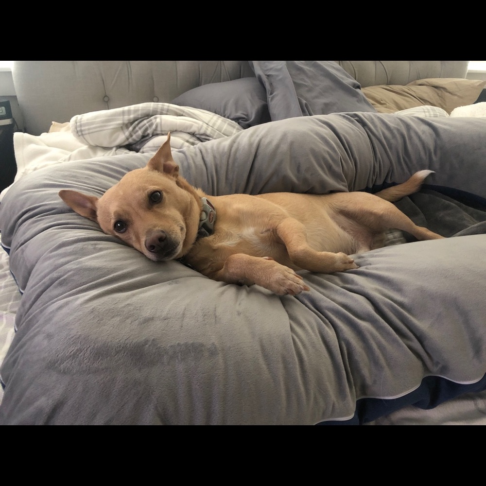 Meet your Posher, Amanda